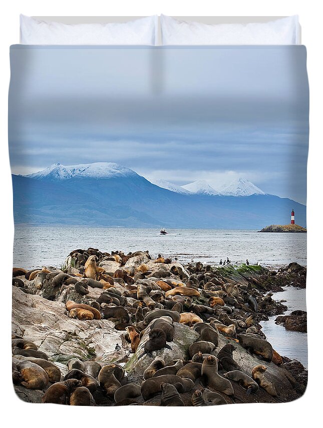 Scenics Duvet Cover featuring the photograph Sea Lions And Light House, Beagle by Ashok Sinha