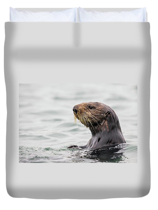 Sebastian Kennerknecht Duvet Cover featuring the photograph Sea Otter In Elkhorn Slough by Sebastian Kennerknecht