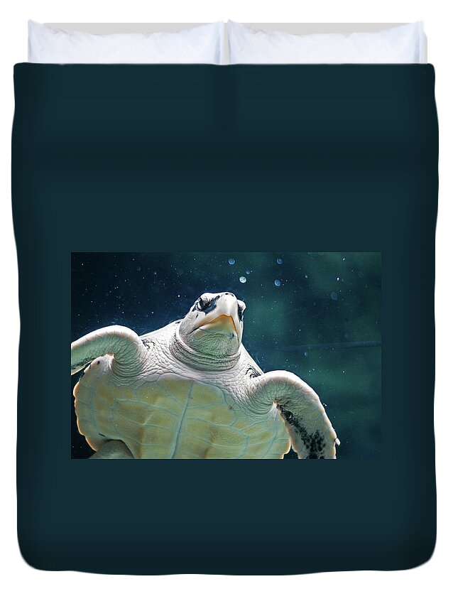 Animal Themes Duvet Cover featuring the photograph Sea Turtle by Ellen Van Bodegom