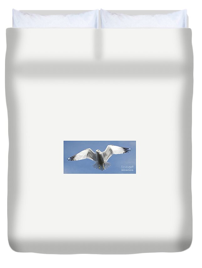 Seagull Duvet Cover featuring the photograph Seagull in Flight by Lena Wilhite