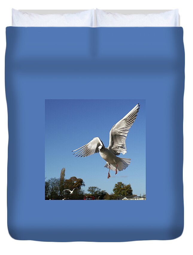 Animal Themes Duvet Cover featuring the photograph Seagull by Oliver(at)br-creative.com