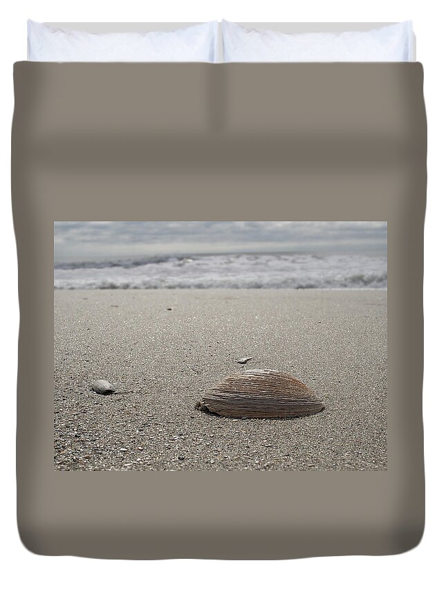 Beach Duvet Cover featuring the photograph Seashell by David Palmer