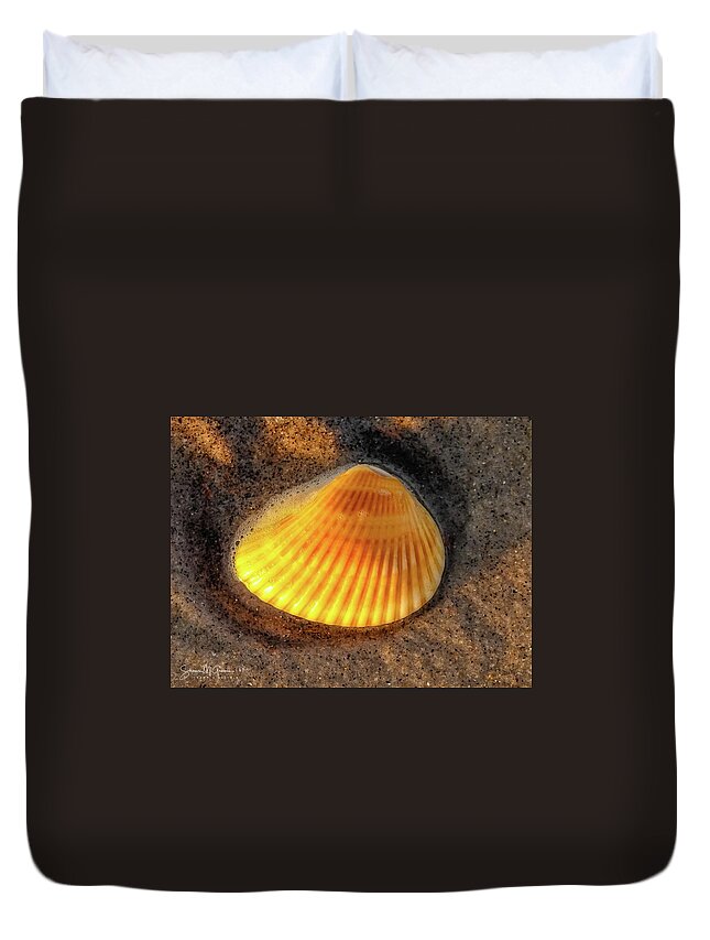 Seashell Duvet Cover featuring the photograph SeaShell Shines at Sunset by Shawn M Greener