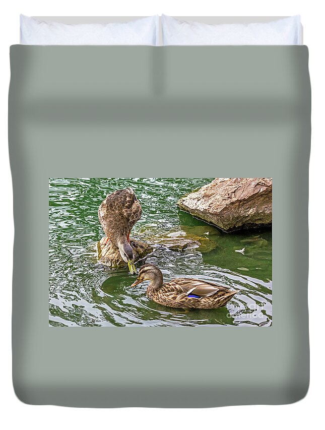 Mallard Duvet Cover featuring the photograph See You Later by Kate Brown