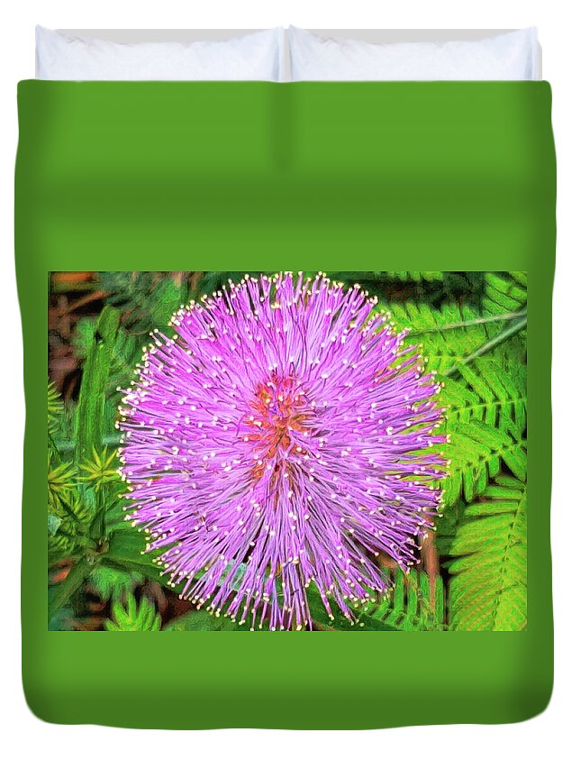 Touch-me-not Duvet Cover featuring the photograph Sensitive Plant - Mimosa pudica by Susan Hope Finley