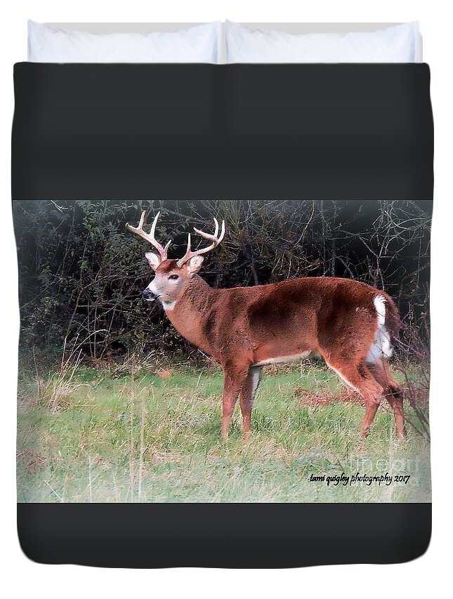 Deer Duvet Cover featuring the photograph Seven Points In Autumn by Tami Quigley