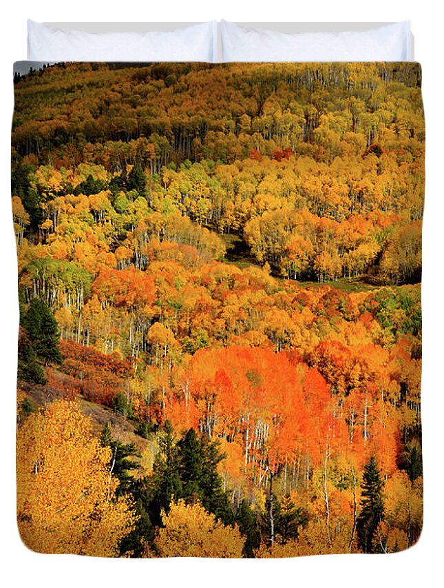 Last Dollar Road Duvet Cover featuring the photograph Shadow Comes over Sunlit Fall Color along Last Dollar Road by Ray Mathis