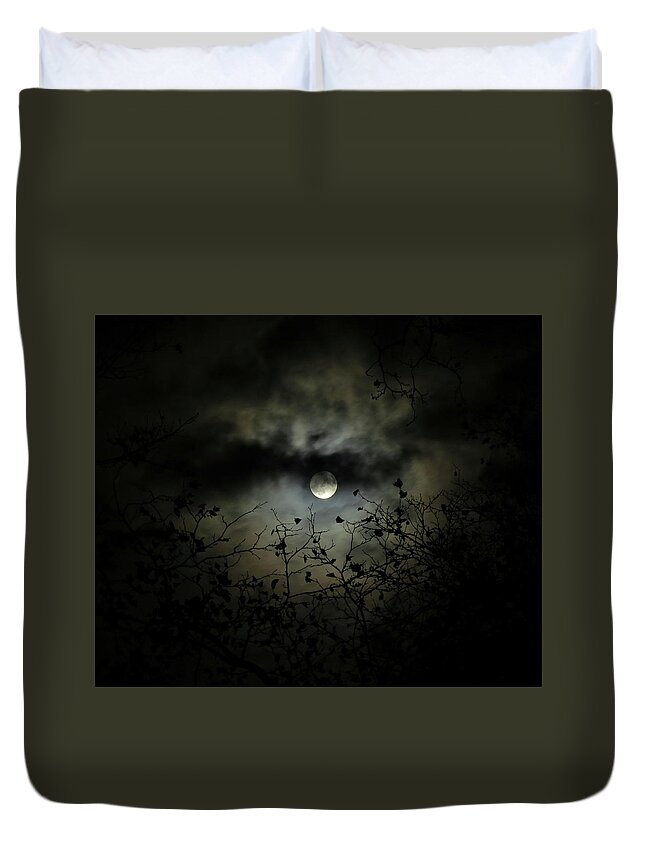 Night Sky Duvet Cover featuring the photograph Shadow Moon by Linda Stern