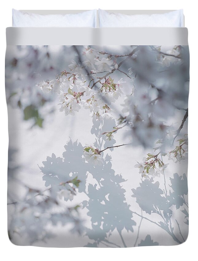 Shadow Duvet Cover featuring the photograph Shadow Of Cherry Blossoms On Wall With by Eriko Koga