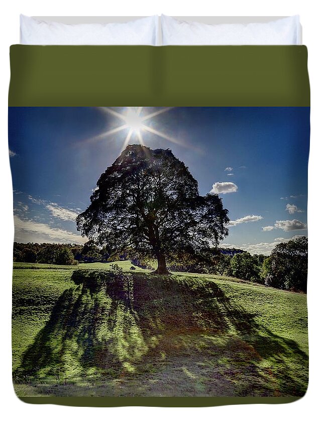 Tree Duvet Cover featuring the photograph Shadow Veil by John Meader