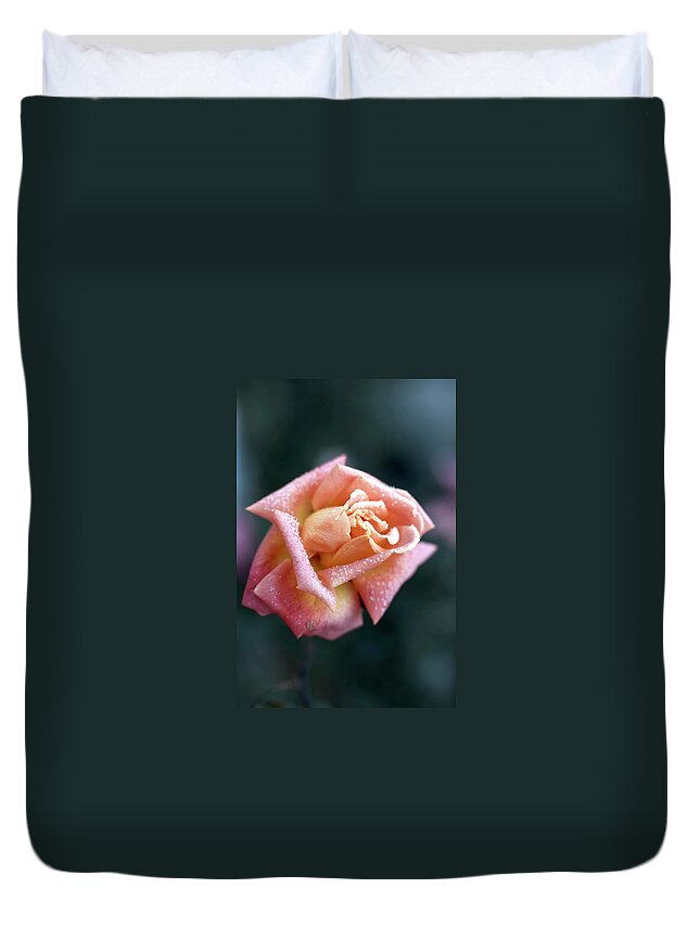 Single Flower Duvet Cover featuring the photograph Shallow Rose by Kristianseptimiuskrogh