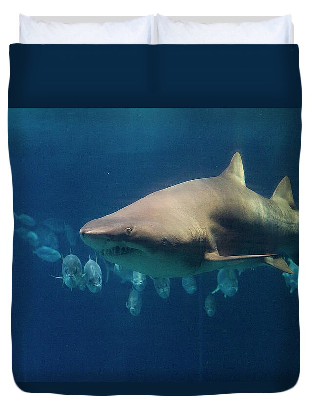 Underwater Duvet Cover featuring the photograph Shark Fish In Ocean by © Remi Steyer Photographie