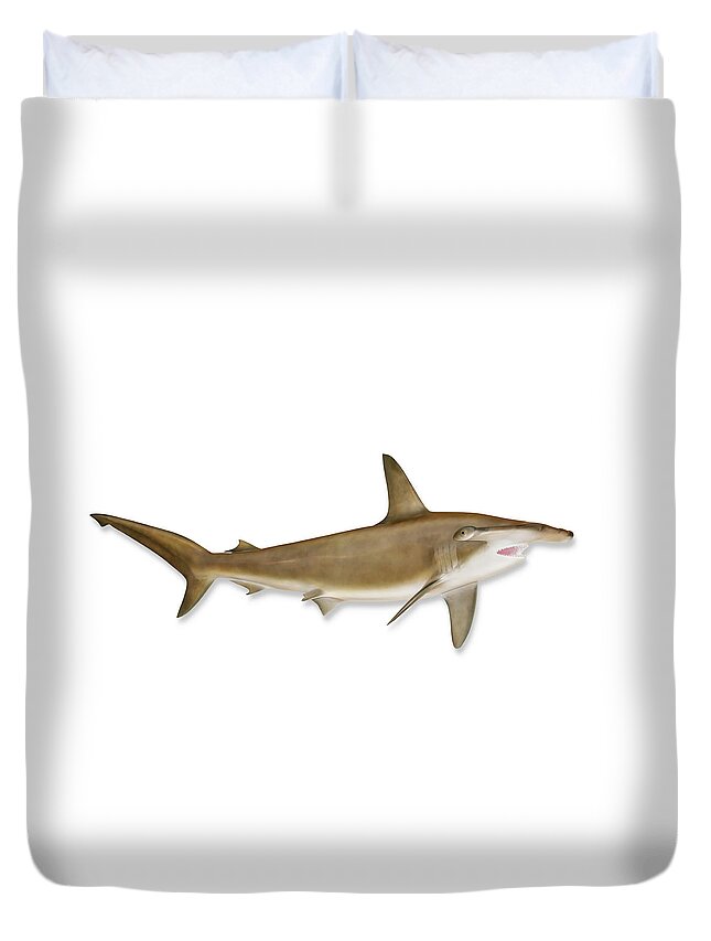 White Background Duvet Cover featuring the photograph Shark With Clipping Path by Georgepeters