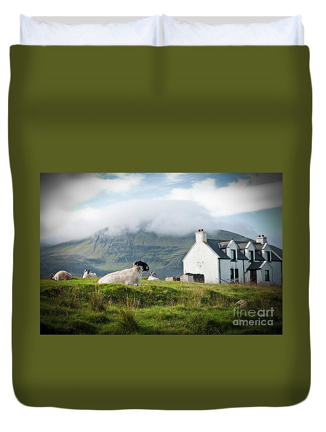 Agriculture Duvet Cover featuring the photograph Sheep grazing on a Scottish farm in spring. by Joaquin Corbalan