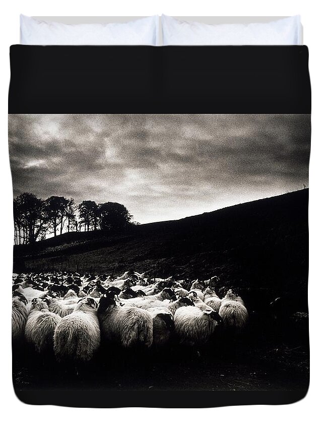 Scenics Duvet Cover featuring the photograph Sheep, Ireland by Design Pics / The Irish Image Collection