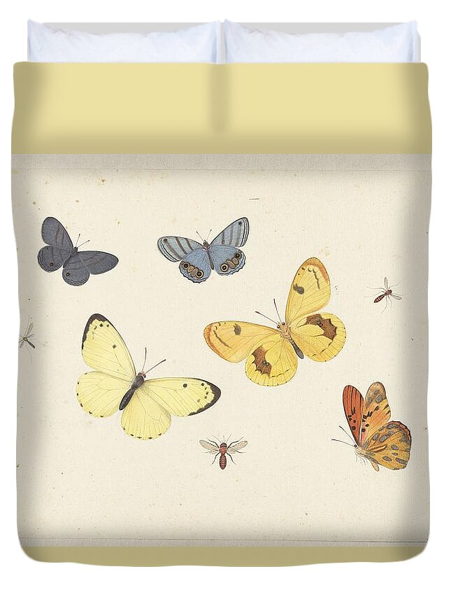 Sheet Of Studies With Five Butterflies Duvet Cover featuring the painting Sheet of Studies with Five Butterflies by MotionAge Designs