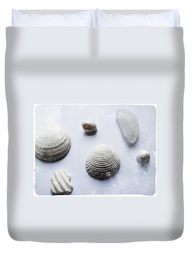 White Background Duvet Cover featuring the photograph Shells by Nautic By Nature. Watercolor Illustrations From The Seaside
