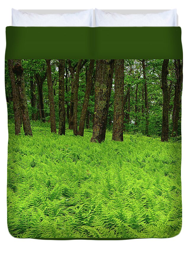 Shenandoah Ferns Among Giants Duvet Cover featuring the photograph Shenandoah Ferns Among Giants by Raymond Salani III