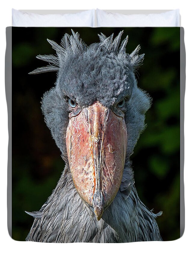 Shoebill Duvet Cover featuring the photograph Shoe-billed Stork by Arterra Picture Library