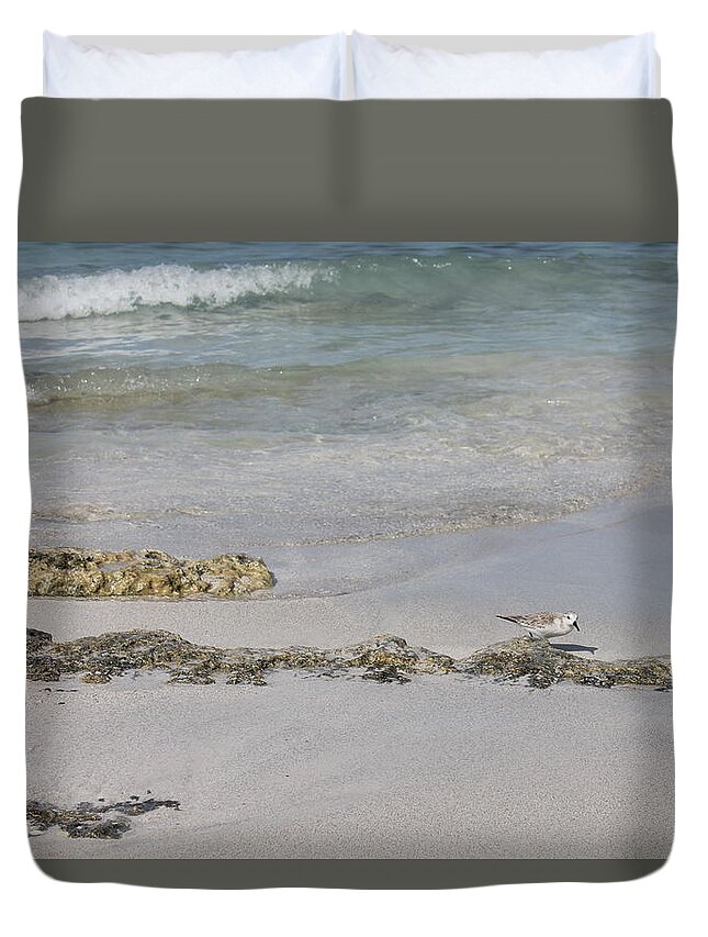 Shorebird Duvet Cover featuring the photograph Shorebird by Ruth Kamenev