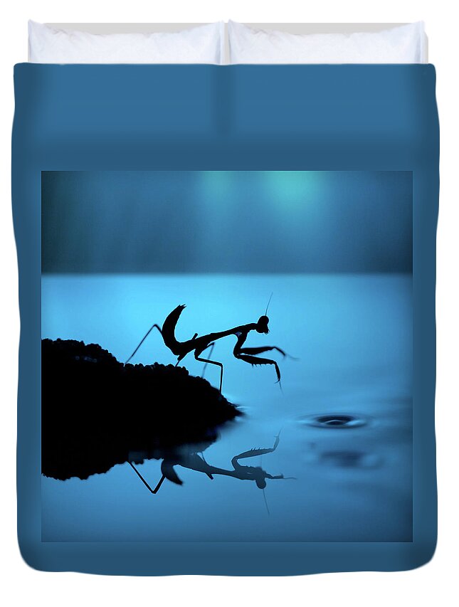 Tanzania Duvet Cover featuring the photograph Silhouette Of Praying Mantis On Blue by Twomeows