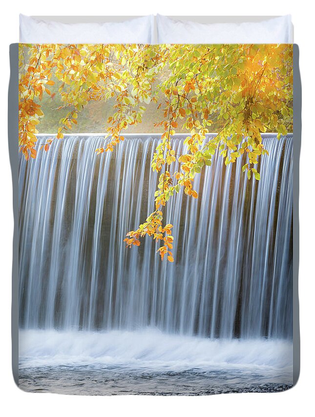 Landscape Duvet Cover featuring the photograph Silver and Gold by Anita Nicholson