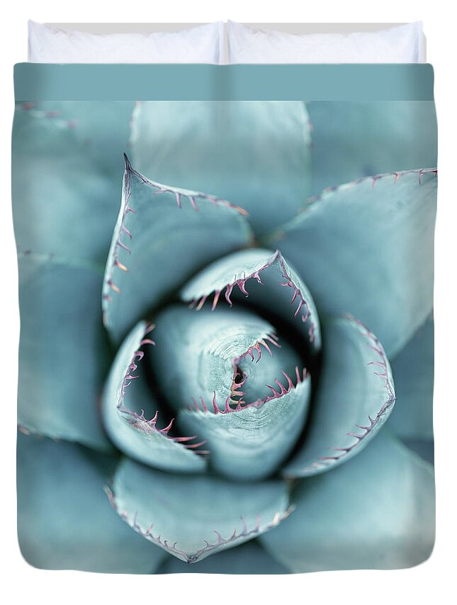 Outdoors Duvet Cover featuring the photograph Silver Succulent by Micha Pawlitzki