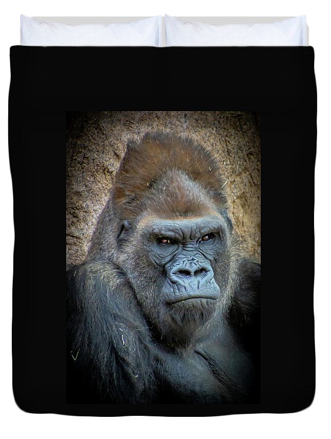 Safari Park Duvet Cover featuring the photograph Silverback Gorilla Winston by Donald Pash