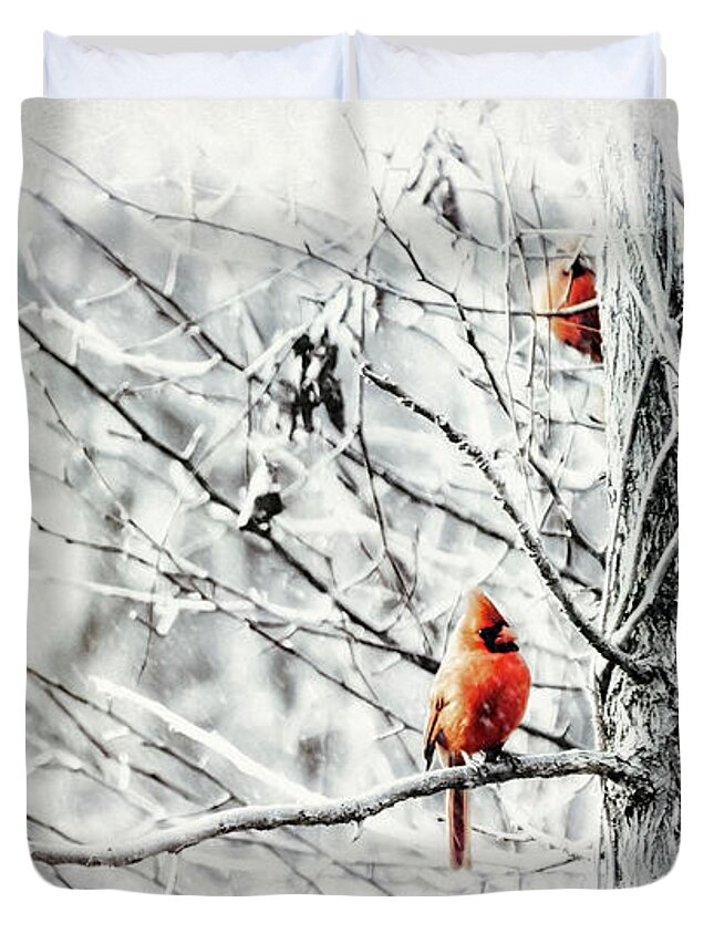 Weather Duvet Cover featuring the photograph Simplicity Series 3 Winter Frost by Darlene Kwiatkowski