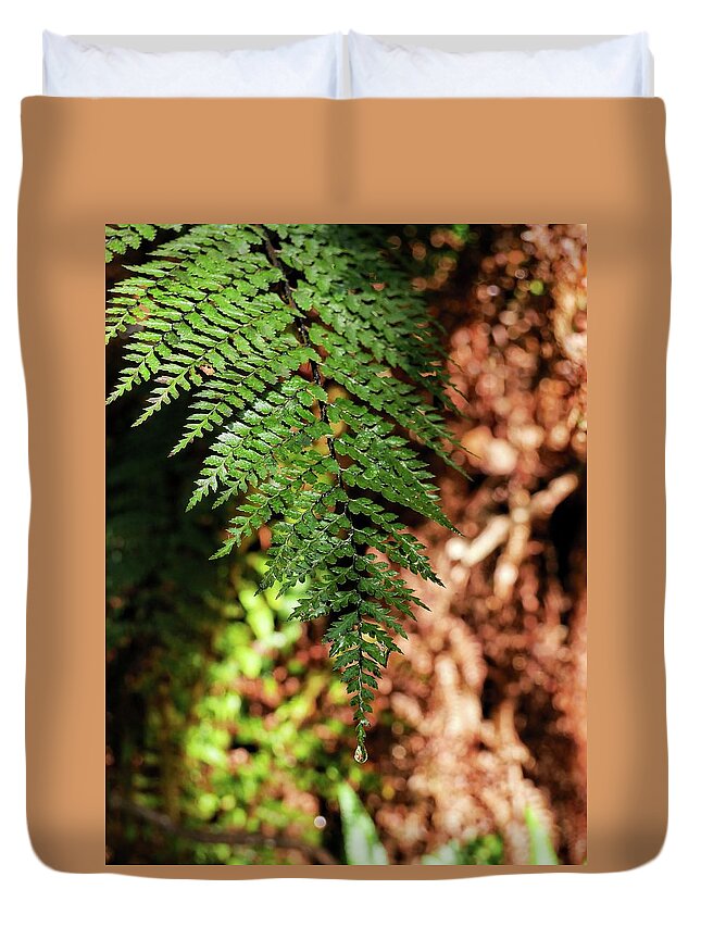 Ferns Duvet Cover featuring the photograph Single fern close up by Martin Smith