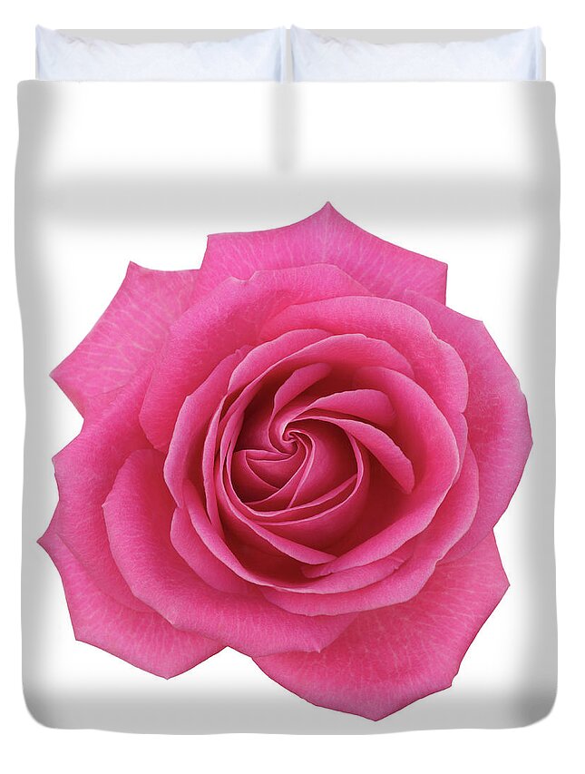 White Background Duvet Cover featuring the photograph Single Pink Hybrid Rose From Above On by Rosemary Calvert
