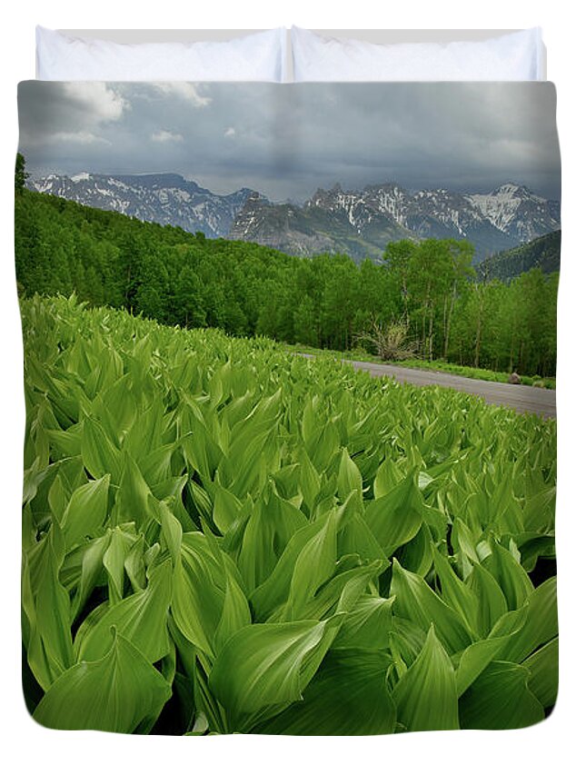 Highway 50 Duvet Cover featuring the photograph Skunk Cabbage in Big Cimarron by Ray Mathis