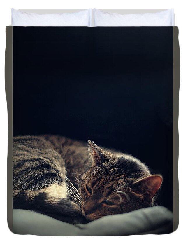 Cat Duvet Cover featuring the digital art Sleepy cat by Cambion Art