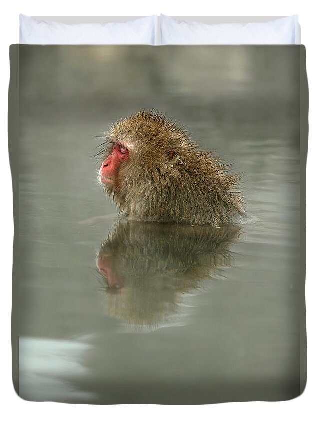 Animal Themes Duvet Cover featuring the photograph Sleeping In The Hot Spring by © Tom Tomczak