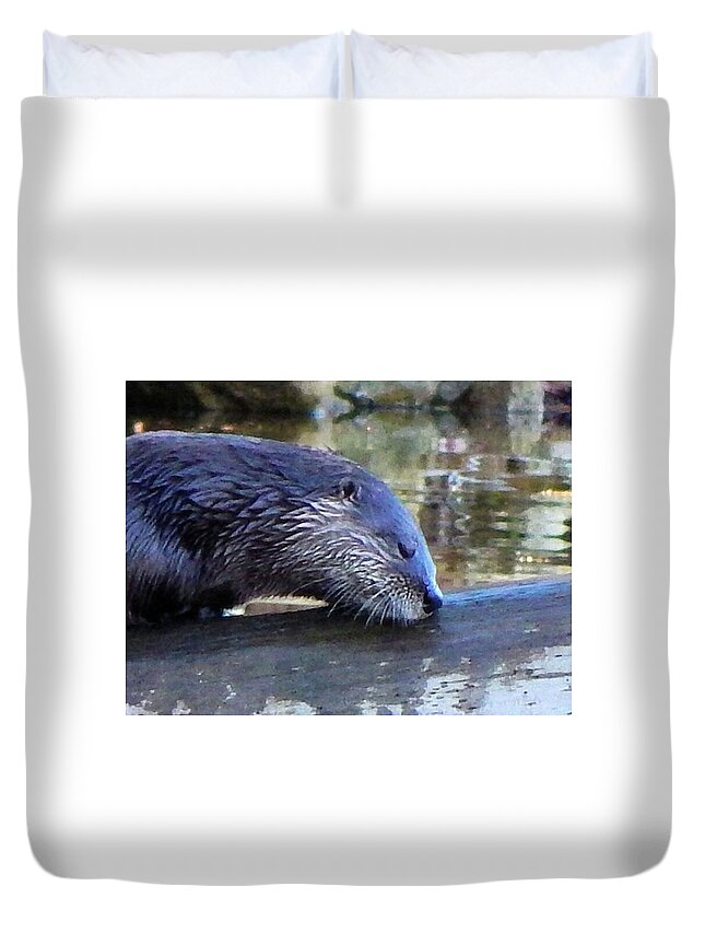 Animals Duvet Cover featuring the photograph Sleeping Otter by Karen Stansberry