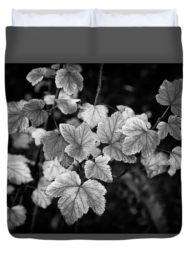 Leaf Duvet Cover featuring the photograph Slipping Into Fall by Steven Clark