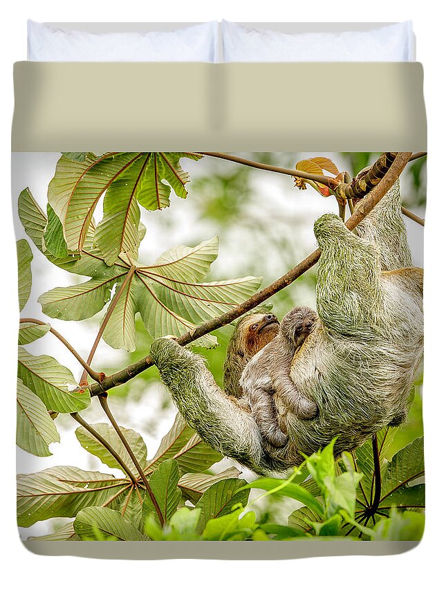 Sloth Duvet Cover featuring the photograph Sloth baby by Judy Rogero
