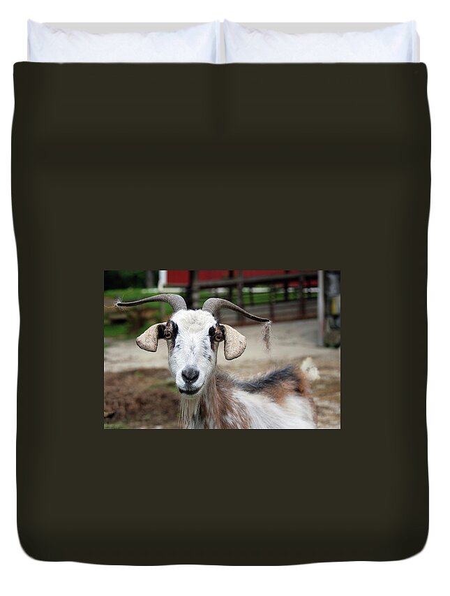 Horned Duvet Cover featuring the photograph Smiling Billy Goat by Tito Slack