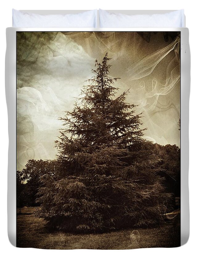 Trees Duvet Cover featuring the photograph Smokey Morning by Yvonne Sewell