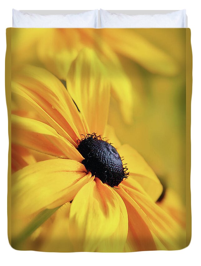 Daisy Duvet Cover featuring the photograph Smothered In Gold by Christina Rollo