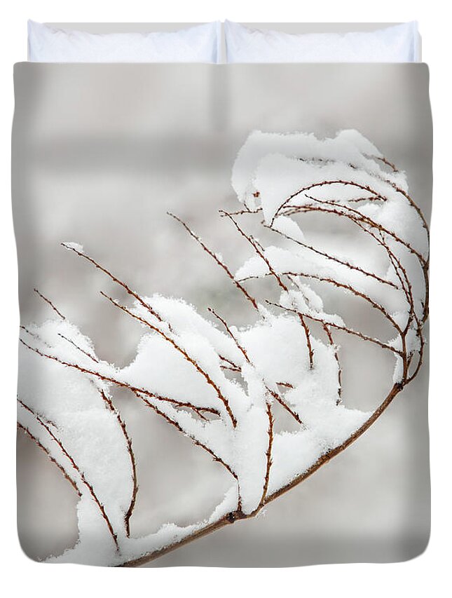 Snow Duvet Cover featuring the photograph Snow Catcher by Mary Jo Allen