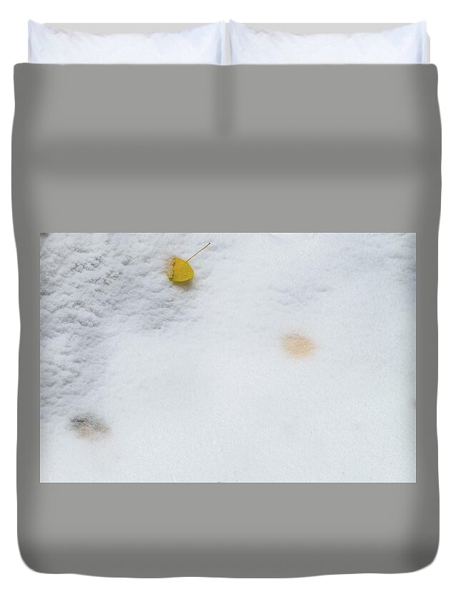 Aspens Duvet Cover featuring the photograph Snow Covered Aspen Leaves by Johnny Boyd