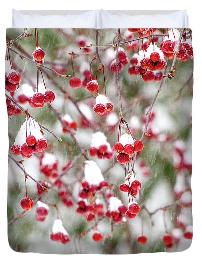 Winter Duvet Cover featuring the photograph Snow Covered Red Berries by Trevor Slauenwhite