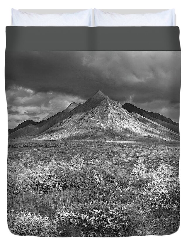 Disk1215 Duvet Cover featuring the photograph Snow Dusted Ogilvie Mountains Yukon by Tim Fitzharris