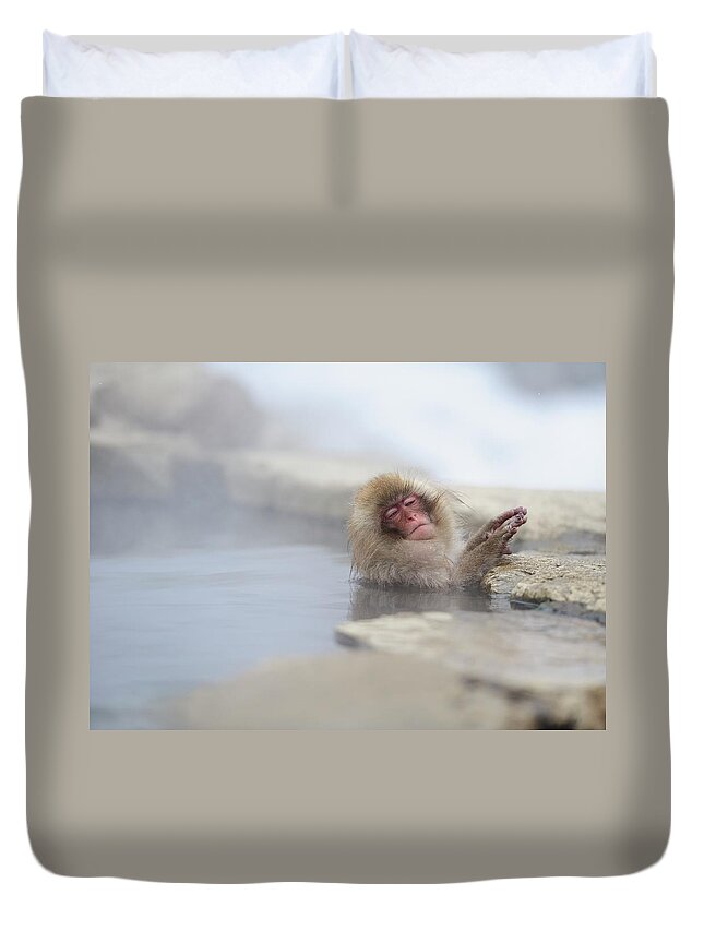 Animal Themes Duvet Cover featuring the photograph Snow Monkey by By Alan Tsai