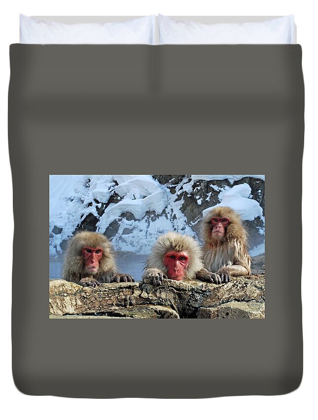 Snow Duvet Cover featuring the photograph Snow Monkeys Bathing In Hot Springs by Photo By Jean-françois Chénier