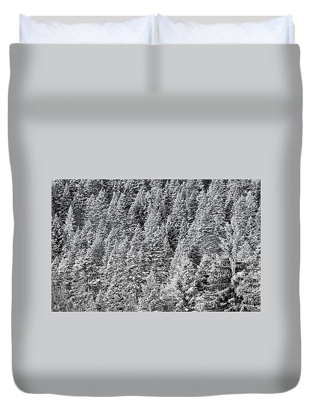 Abstract Duvet Cover featuring the photograph Snow on Evergreens by Tom Gresham