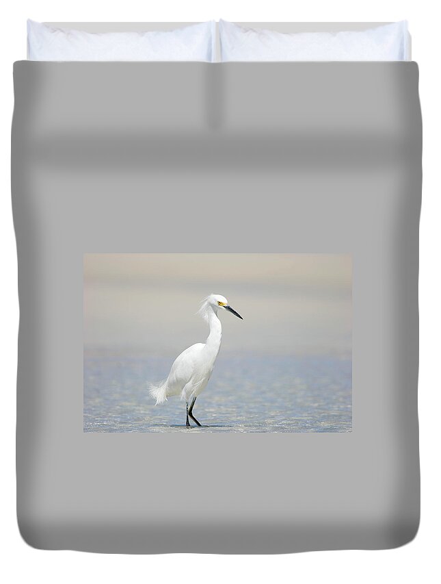 Latin America Duvet Cover featuring the photograph Snowy Egret by Skyhobo