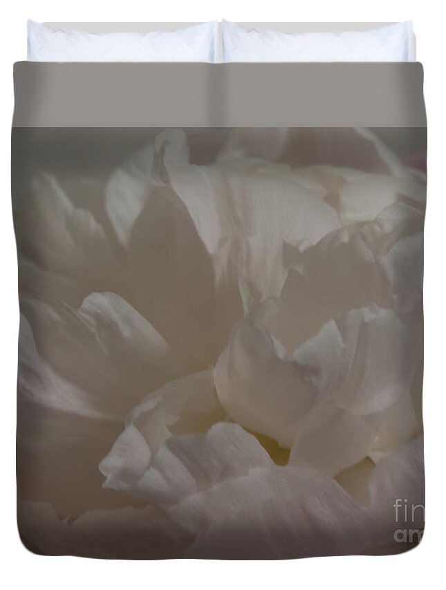Bloom Duvet Cover featuring the photograph Soft flower petals 3 by Christy Garavetto