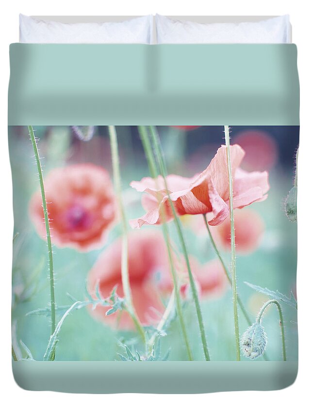 Belgium Duvet Cover featuring the photograph Soft Focus Close-up Of Red Corn Poppy by Eschcollection